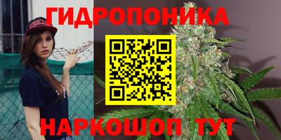 альфа пвп Братск