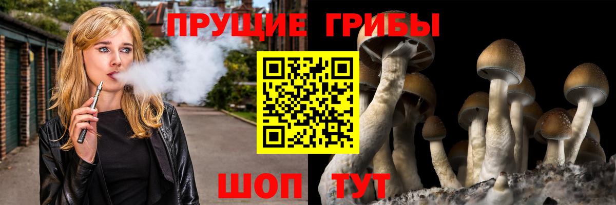 Галлюциногенные грибы ЛСД Воткинск